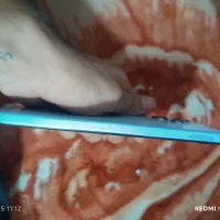 گوشی ردمی 12|موبایل|زابل, |دیوار