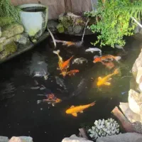 ویلاباغ ۵۰۰متری/سند تک برگ/۲۲۰متر بنا/فول امکانات|فروش خانه و ویلا|رشت, بلوار گیلان|دیوار