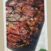 فرش فانتزی خاطره|فرش|بندرعباس, |دیوار