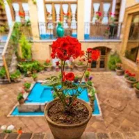 همخونه-میشم