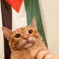 مبلغ ۱۰۰ هزار تومان پول پیدا شده