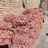 فروش پیاز محلی|عمدهفروشی|قیدار, |دیوار