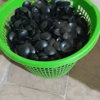 وسایل مغازه|فروشگاه و مغازه|خوی, |دیوار