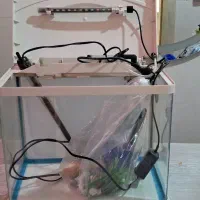 آکواریوم ماهیران