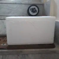 یونولیت