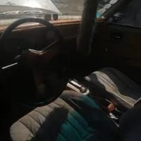 شولت نوا