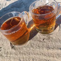 خانم جویای کار در منزل خودم