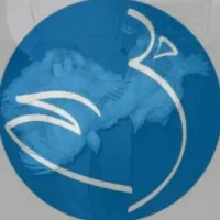 بارگیری مرغ زنده در یک شرکت معتبر