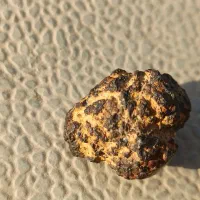 سنگ|کلکسیون اشیاء عتیقه|چهارباغ, |دیوار