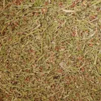 خار دانه دار نرم