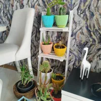 گل و گلدان و پایه