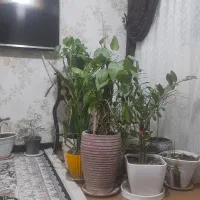 مسکن مهر ستاره ۱۲ طبقه یک شهرک نفت
