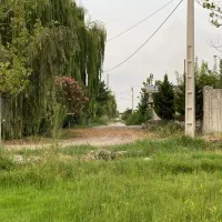 زمین تفکیک شده ( جنگلی)