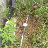 کلنگی سندتک برگ زمین۵۰۱مترامتیاز کامل چمثقال کلسر|فروش زمین و ملک کلنگی|صومعهسرا, |دیوار