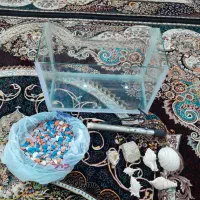 آکواریوم،سنگ و صدف،بخاری آکواریوم