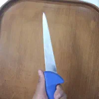 چاقو قصابی|ظروف پخت‌وپز|کرج, شاهین‌ویلا|دیوار