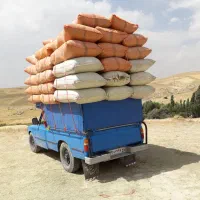 خرید وفروش یونجه دهگلان ،قروه