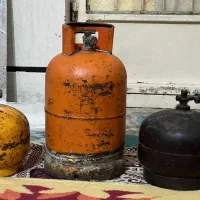 پکنیک متوسط و بزرگ