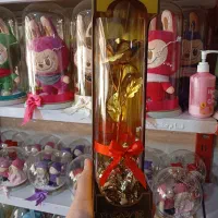 گل قیفی و شانه ای تولید و پخش|کلکسیون و سرگرمی|گرگان, |دیوار