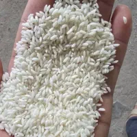 برنج نیمدانه پاکستانی