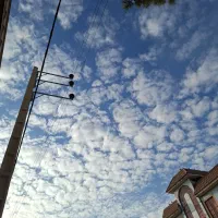 کارت ملی به اسم شهره زند سلیمی پیدا شده