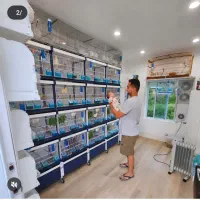 نیروی کار جهت همکاری در پرورش پرندگان زینتی