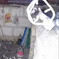 پلاکی کفتر ۱۵۰