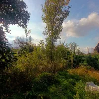 210متر احمدسرگوراب زیبا با پروانه ساخت|فروش زمین و ملک کلنگی|احمدسرگوراب, |دیوار