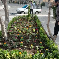 باغبانی ودرخت کاری جلال دلبری|خدمات باغبانی و درختکاری|تهران, سبلان (لشگر)|دیوار