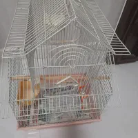 قفس پرنده|لوازم جانبی حیوانات|تهران, کاج|دیوار