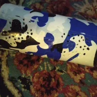 ۲عدد اسپیکر|پخشکننده همراه|زاهدان, |دیوار