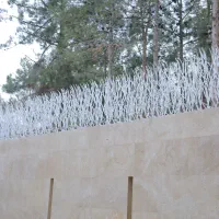 فروش حفاظ خاری شاخ گوزنی بوته ای|خدمات پیشه و مهارت|اصفهان, بوستان ناژوان|دیوار