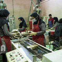 استخدام نیروی کارگر خانم جهت کارگاه بسته بندی