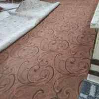 موکت ظریف مصور درحد نونو