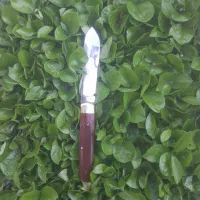 چاقو جیبی تیغ استیل