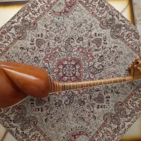 تار ۳ مهر استادجلیلوند|سازهای سنتی|شیراز, شهرک ولیعصر|دیوار