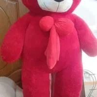 خرس ولنتاین