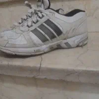 اکو منت سفارش