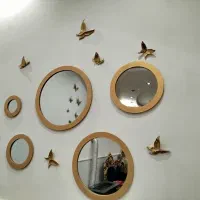 آینه پنج تایی و پروانه نو وسالم