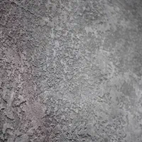 مجری صفر تاصد میکروسمنت نما و داخل ۵سال ضمانت کاری|خدمات پیشه و مهارت|رشت, گلسار|دیوار