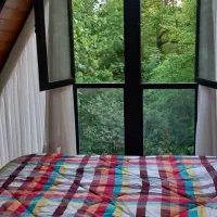 اجاره کلبه سویسی استخر جنگلی|اجارهٔ کوتاه‌مدت ویلا و باغ|آمل, |دیوار