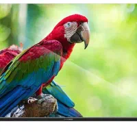 تلویزیون ۵۰اینچ دوو|تلویزیون و پروژکتور|لنجان, |دیوار