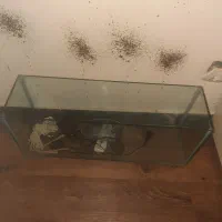 آکواریوم