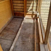 کجه ، گنجه ، قفس چوبی ، قفس پرنده ، جفت کن|لوازم جانبی حیوانات|قم, شهرک مهدیه|دیوار