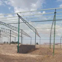 فروش گاوداری8000متری باپروانه120راسی(60مولد)بردسیر|فروش دفتر صنعتی، کشاورزی، تجاری|بردسیر, |دیوار