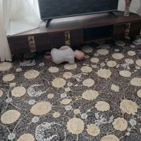 دو تخته فرش ۱۲ متری|فرش|مرودشت, ژیان|دیوار