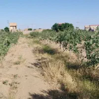 فروش زمین سعادت آباد