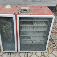 دستگاه جوجه کشی