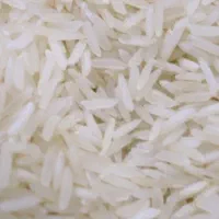 برنج تازه گیلان