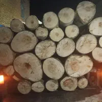 خرید‌وفروش‌انواع‌چوب‌